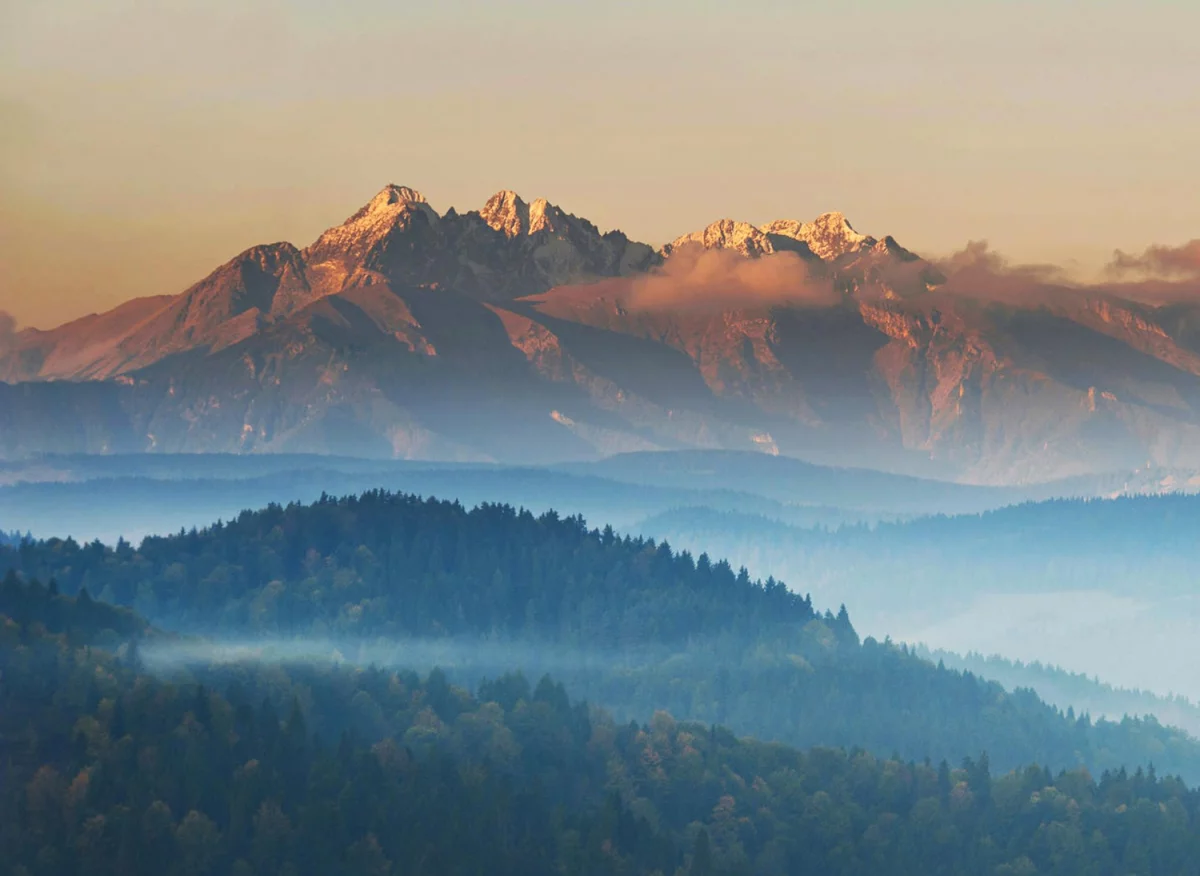 Wartość tego jak kupić elektronikę do domu