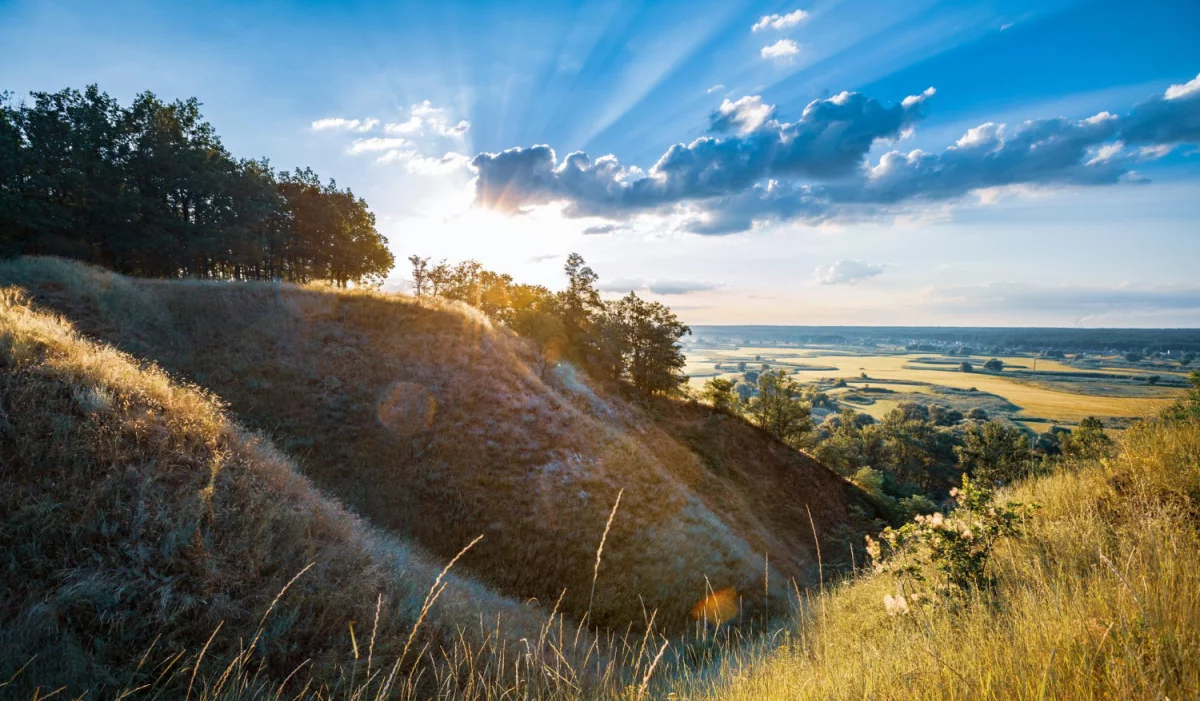 Jak umeblować dom i zarobić?