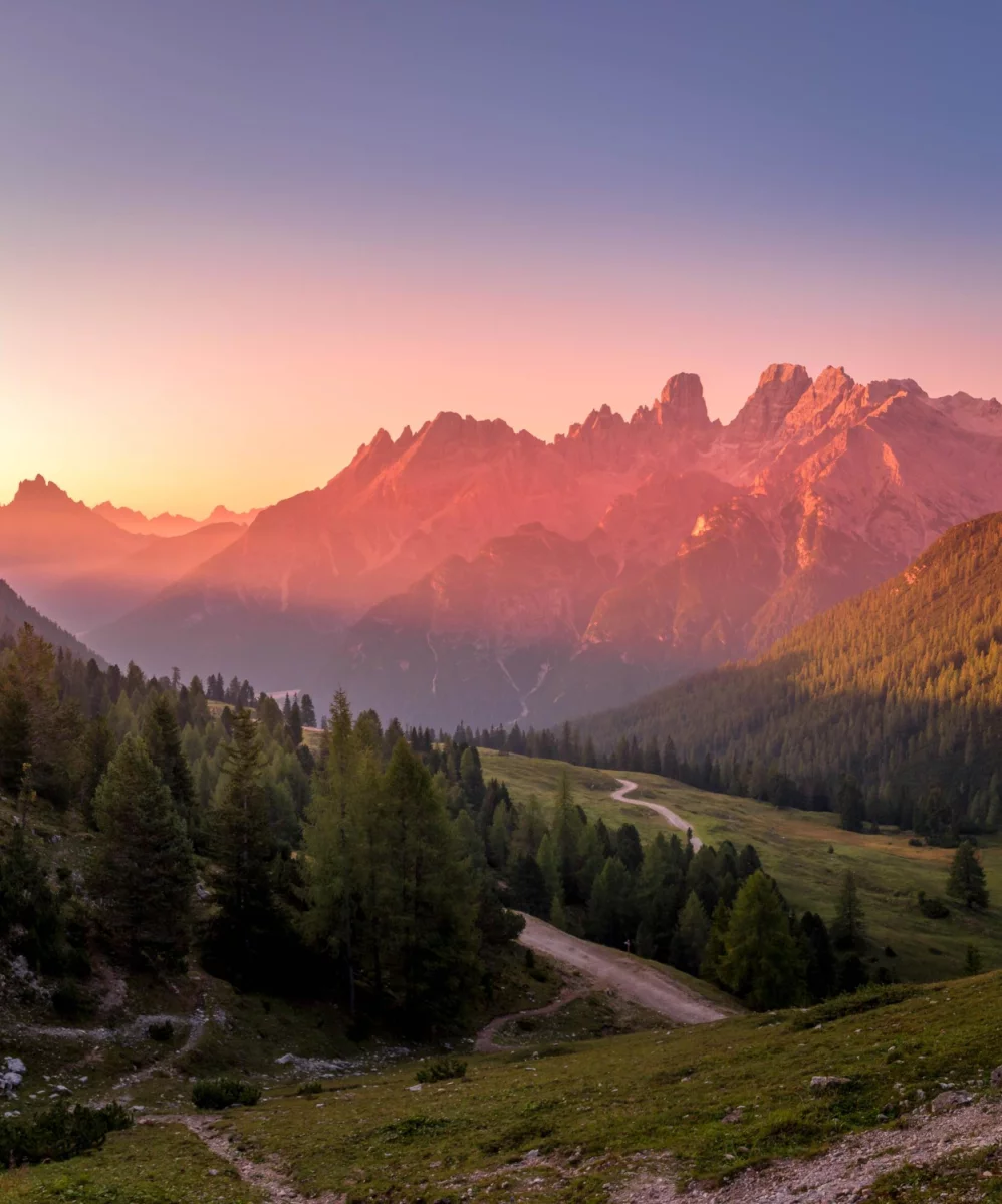 Cena tego jak kupić para cord