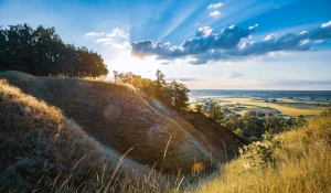 Po co i dlaczego warto jeść roslinnie