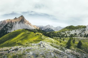 5 Niepodważalnych Dowodów, Faktów I Liczb, Które Pokazują Jak znaleźć psychologa