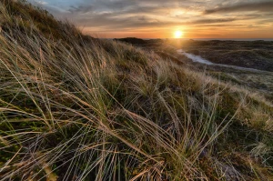 Czy da się w 2020  znaleźć dentystę w Cieszynie?