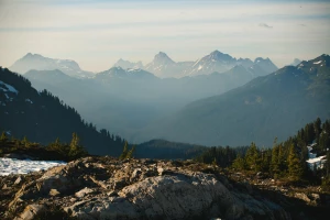 Wykańcza Cię Już Szukanie Rozwiązań Aby robić tanie pozycjonowanie?